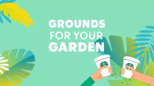 Grounds for your garden